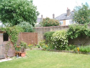 The garden in Earlsfield